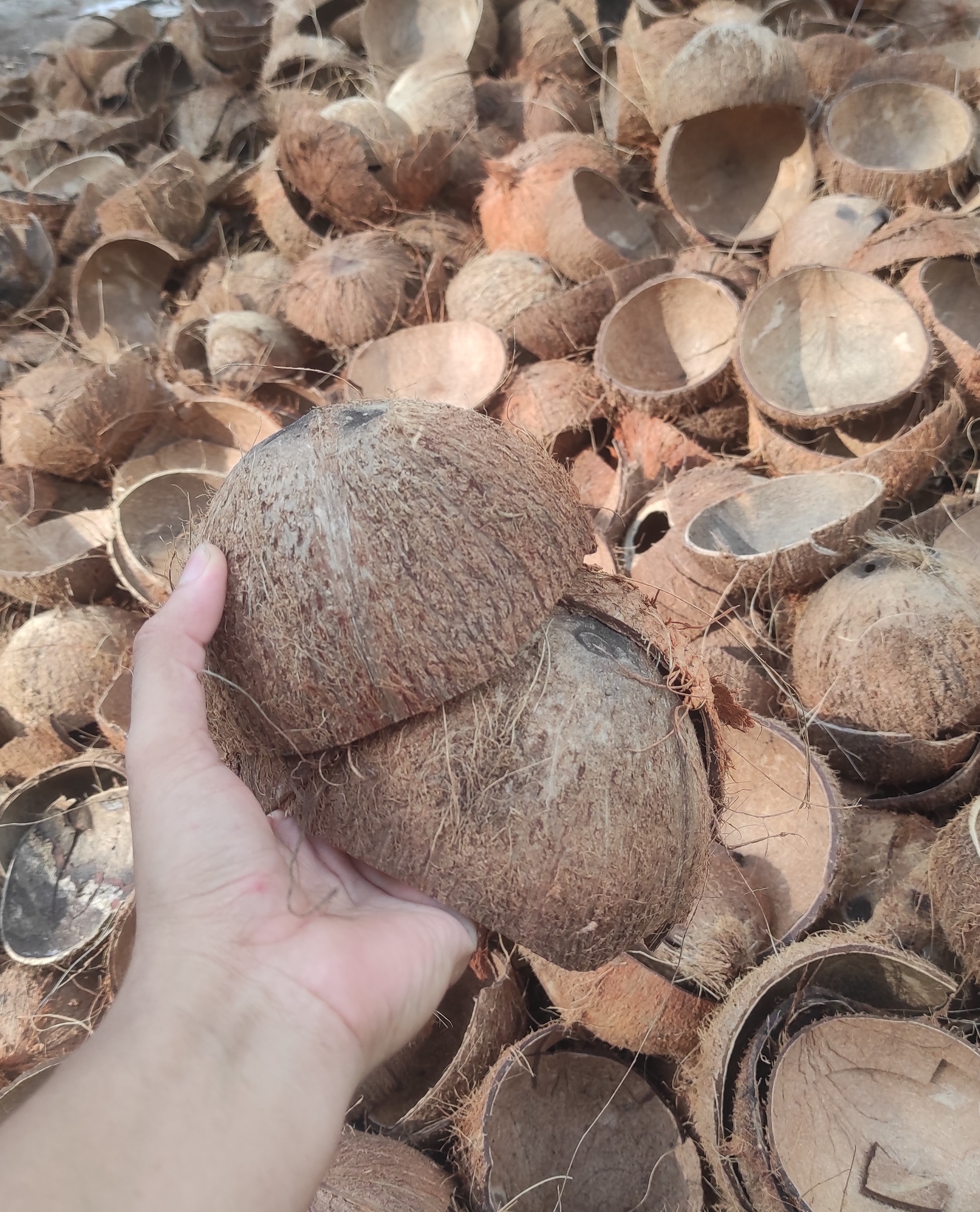 Super Premium Coconut Shell Charcoal Briquette with 1.9-2.2% Ash Content